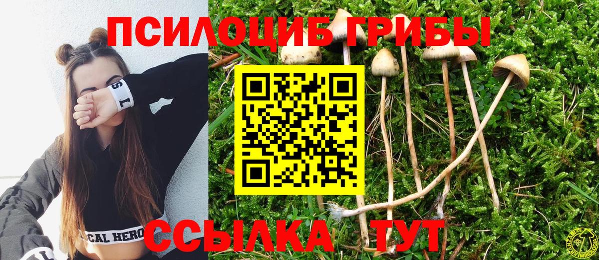 Родники  Галлюциногенные грибы Cubensis  Псилоцибиновые грибы мицелий  Вход с VPN 